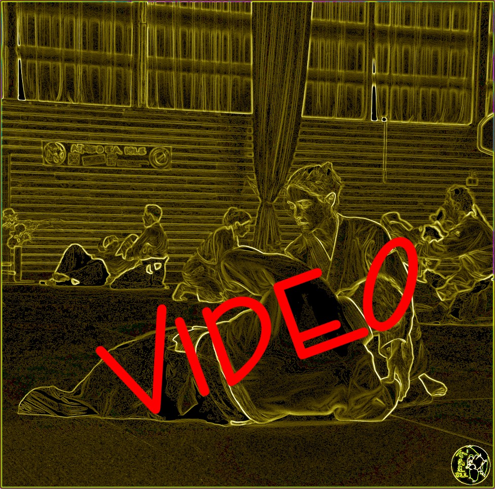 180527 Vignette video 2  NiDan Garance ROUVERON.mp4.jpg - 437,53 kB
